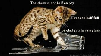 Lol Cat Wallpaper