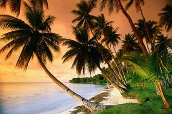 Caribbean Ocean Postcard Wallpaper