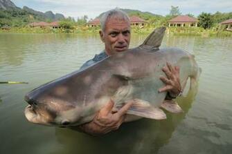 River Monsters HD Wallpaper Background Image