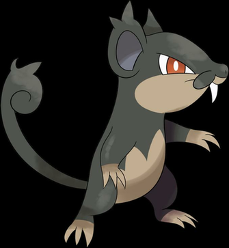 Rattata Pokemon Wallpaper Image