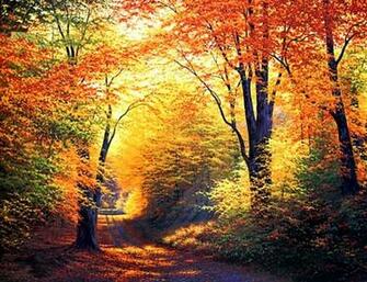 Autumn Wallpaper
