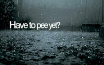 Wallpaper Humor