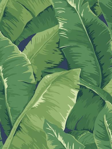 Bold Banana Leaf Wallpaper Jaima Company