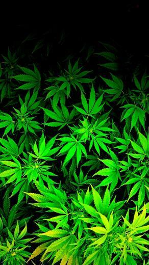 Ipod iPhone Weed Marijuana Cannabis Wallpaper By Thetruemask On