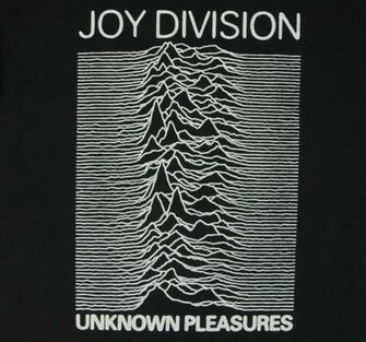 Joy Division Unknown Pleasures iPhone Wallpaper Hay Una Lesbiana En