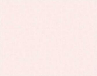 Blush Color Background Pale Pink A Wedding