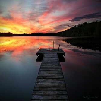 Summer Night Wallpaper Swimming By