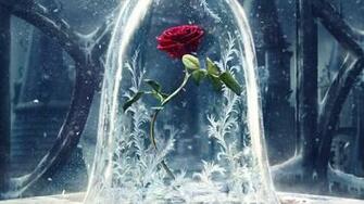 Beauty And The Beast Wallpaper Background Image Net