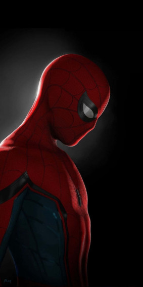 Spiderman Pfp Phone Wallpaper