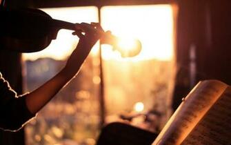 Beautiful Violin HD Wallpaper