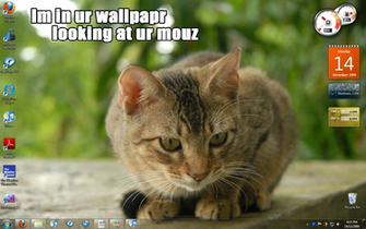 Best Embarrassing Desktop Background