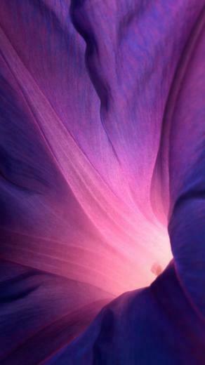 Wallpaper iPhone iPad One Stop