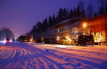 Wallpaper Forest Railway Night Lights Train Trees Composition