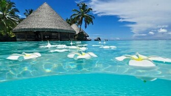 Miami Beach Wallpaper Desktop Image