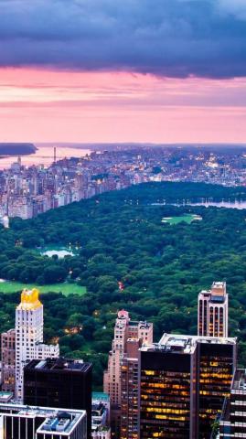 New York Central Park iPhone Wallpaper