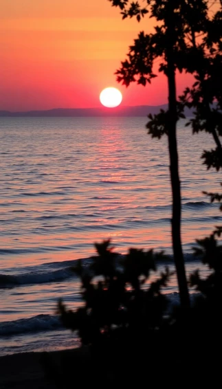 Lakeshore Wallpaper