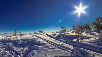 Wallpaper Sunny Day In This Winter Landscape