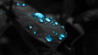 Turquoise Water Drops HD Wallpaper Wallpaperfx