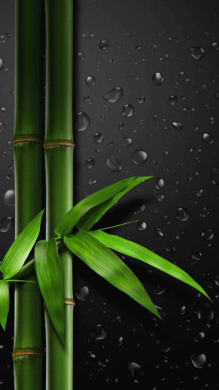 Bamboo Phone I2t1vogz2j3coho1 Wallpaper