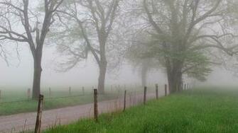 Foggy Countryside Road Wallpaper