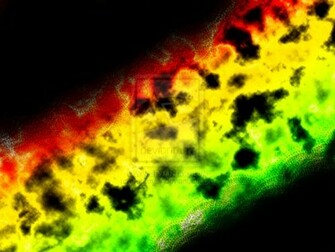 Reggae Background By Sublimelx