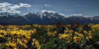 HD Wallpaper Background Popular And In