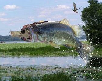 Bass Wallpaper