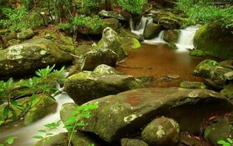 Beautiful Wallpaper And Image Waterfall Jungle