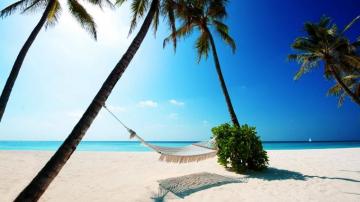 Summer Beach Hammock Wallpaper