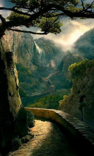 Pictures Image And Wallpaper In High Definition Quality
