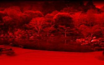 Zen Wallpaper Widescreen Weddingdressin