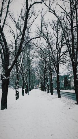 Snowy Day Black And White Background Dark Christmas Aesthetic