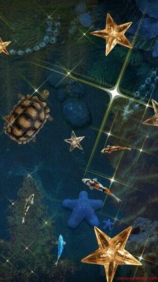 S4 Water Pool Live Wallpaper Full Apk Indir