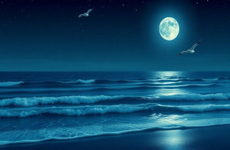 Night Ocean Wallpaper