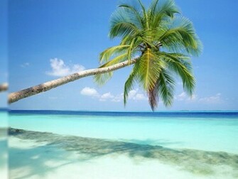 Beach Scene Desktop Wallpaper