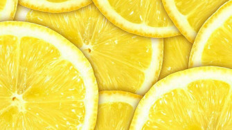 Best The Yellow Wallpaper