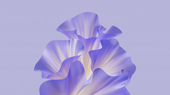 Purple Aesthetic Wallpaper 4k Floral Honor Magic V2 Stock