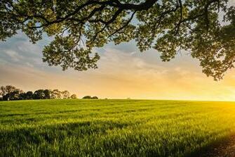 Farm Pictures Image