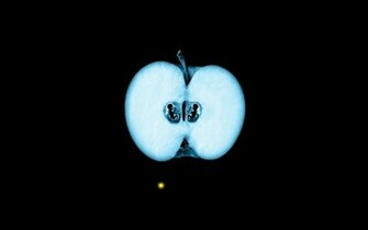 Fringe Tv Xray Posters Germs Apples Fetus Wallpaper