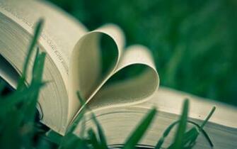 Book Heart Wallpaper Mood Grass X