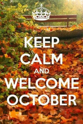 Hello October Kbk San Antonio Wholesale Fabric Showroom