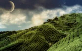 Best Collection Of Green Hills Wallpaper HD Nature Most