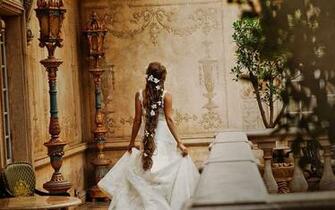 Bride HD Wallpaper Background Image Id