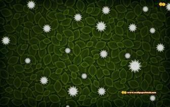 Wallpaper Windows Pack