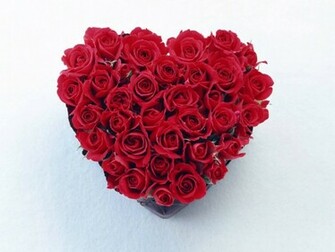 Flower Wallpaper Pictures Red Rose Flowers Gifts