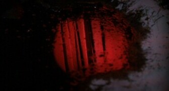Dark Mood Woods A Dictaphone Recording