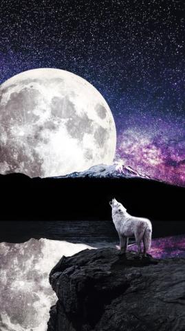 Wolf Moon River In Resolution Howling At