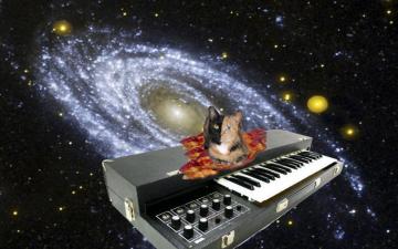 Cats In Space Wallpaper Image Pictures Findpik