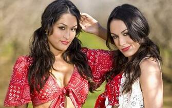 High Quality Desktop Wallpaper Hot Wwe Divas The Bella Twins
