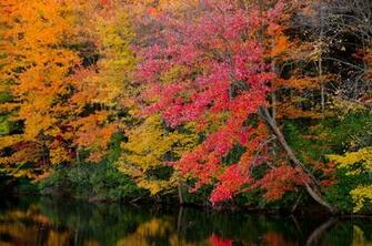 Fall Color Along Nh Route